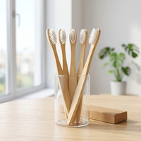 Brosse à dents en bambou naturel écologique, brosse à dents en bois biodégradable, brosse à dents en bois organique, emballage en boîte kraft zéro déchet