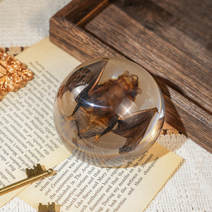 Venta Caliente de Artesanías de Resina, Decoración de Taxidermia de Murciélago, Especímenes de Animales Reales en Resina, Adornos para el Hogar, Regalos Únicos para Entusiastas de la Biología - Product Image 1