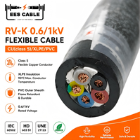 Noyau RV-K flexible de la classe 5 N2XY 4 + 1 de cuivre avec la terre 4x16 + 10mm2 puissance XLPE câble PVC gaine extérieure fil de construction Eescable