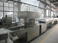 Chaîne de production entièrement automatique de machines à enrober le chocolat pour biscuits et noix, avec tunnel de refroidissement, en acier inoxydable 304, fabriquée en Chine