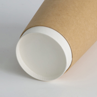 Gobelets à café en papier à double paroi écologiques, gobelets biodégradables épaissis avec couvercles, impression personnalisée pour les cafés et les boulangeries