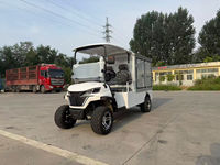 Voiturette de golf électrique tout-terrain, buggy électrique durable pour la chasse et les centres de villégiature