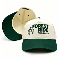 Gorra de Béisbol de Tela Espigada con Bordado 3D y Logotipo Personalizado Directo de Fábrica, Gorras Deportivas Unisex con Impresión Puff al por Mayor