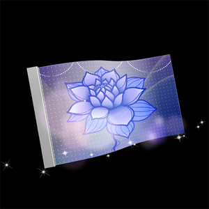 Film LED transparent pour intérieur haute luminosité P10, écran vidéo flexible, affichage LED - Product Image 6