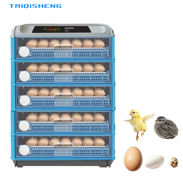 Automatic Intelligent 500 Egg Incubator Dual Power Supply 50Ah 12V Battery Water Supply Roller Design Higher Hatching Rate