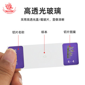 5 - Product Image 2