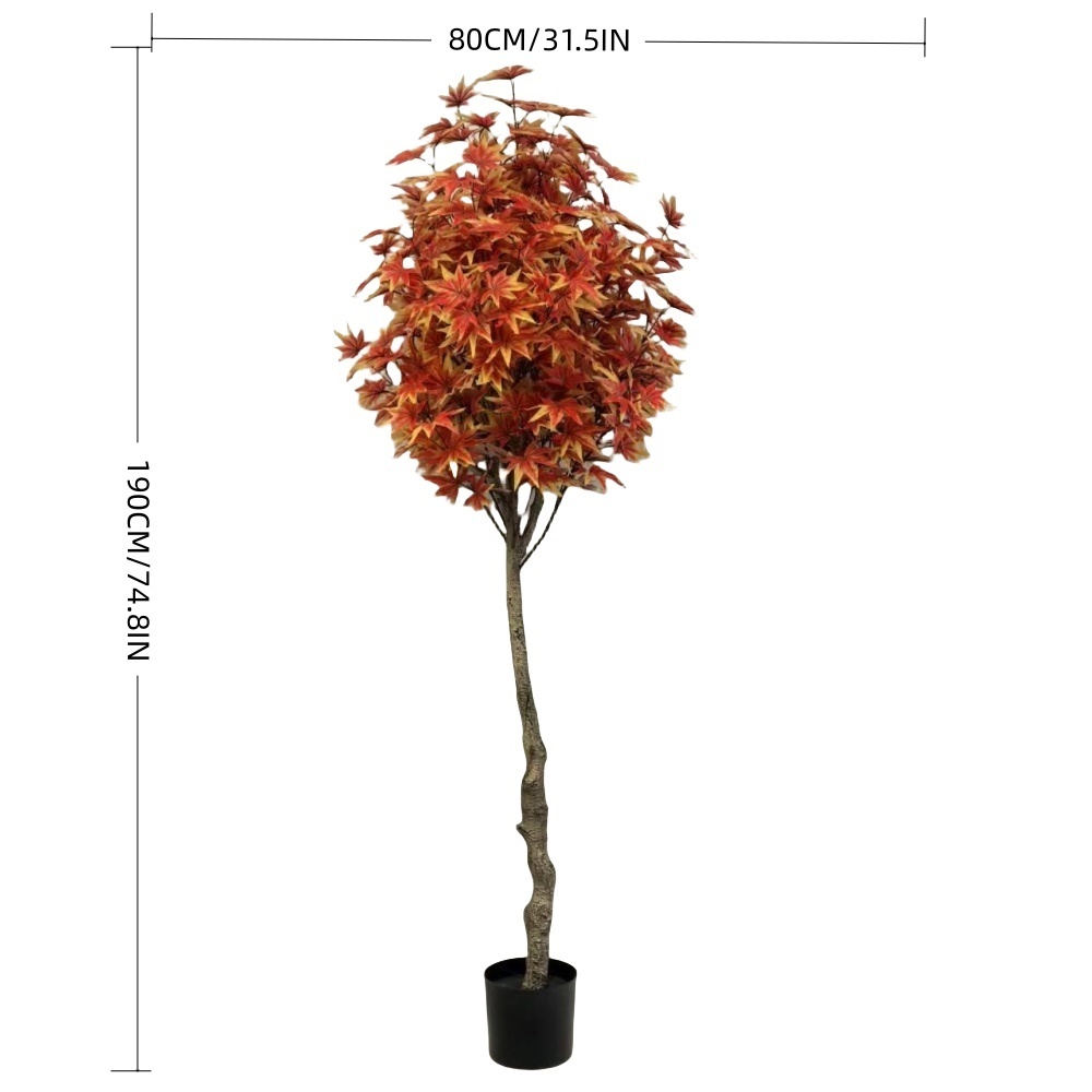 XY2502-16 180CM