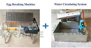 Machine à casser les œufs de caille à haute efficacité, machine à casser les coquilles d'œufs de caille avec une utilisation facile et une structure solide - Product Image 6