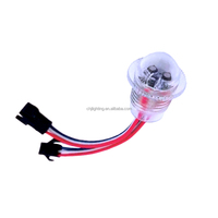 Lampes LED RGB CHJ Carnival Carousel 20mm UCS1903 12V IP65 pour manèges et parcs d'attractions