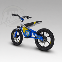 Moto électrique tout-terrain pour enfants, 16 pouces, 36V, pour les 5-10 ans, en alliage d'aluminium, frein à disque hydraulique, moto de trail, fourniture d'usine