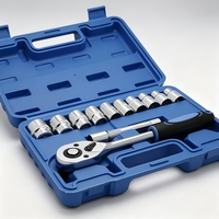 Kit d'outils à cliquet miniature 46 pièces en acier au carbone OEM à faible MOQ, avec mallette rigide, pour l'entretien de vélos et les appareils ménagers