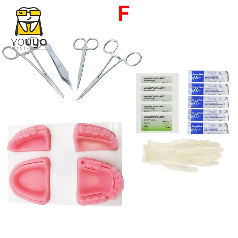 Nova Formação Prática de Sutura Kit Para Dental, Dente Dental Modelo de Formação Humana Simulada