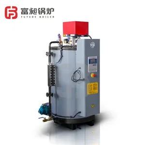 Save 5% 500kg Oil Steam Boiler for Tank Heating