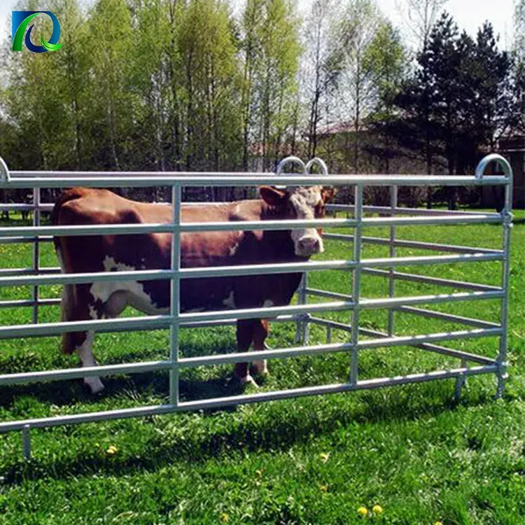 Stahl rinder hof/Viehzaun/Corral-Zaun platten zu einer Reihe von Viehhöfen.