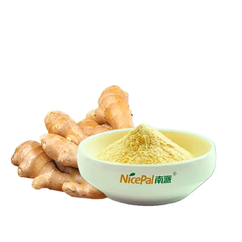 100% Water Soluble New Types Wholesale Ginger Plants Extract Ginger Juice Powder Ginger Powder