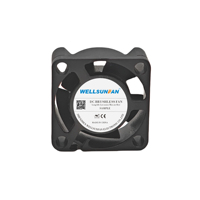 WELLSUNFAN FD02510 25x25x10mm 1 pouce DC ventilateur de refroidissement boîtier d'ordinateur CPU NVMe SSD ordinateur portable bureau DDR5 RAM-5V roulement à billes 20.9dB(A)
