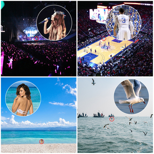 <strong>Small</strong> Compact <strong>Binoculars</strong> for Adults Kids Mini <strong>Binocular</strong> for Traveling Sightseeing Birds Watching with Lightweight Pocket <strong>Folding</strong> - Product Image 3