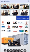 Groupe électrogène triphasé CE EPA Cummins Weichai 30KW 50KW 100KW 200KW 400KW 1000kW 50/60Hz 220V au gaz naturel/GPL/diesel