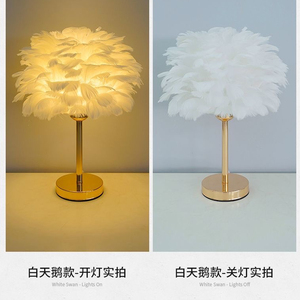 Bán Buôn Bắc Âu Đơn Giản Lông Bảng Ánh Sáng Phòng Khách Phòng Ngủ Hiện Đại Chiếu Sáng Nội Thất Đèn Bàn - Product Image 6
