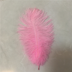 Prezzo all'ingrosso 15-70cm piume di struzzo soffici naturali - Product Image 6