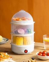 Cuiseur à œufs automatique domestique 220V, boîtier en plastique, alimentation USB, classe énergétique efficace, arrêt automatique, multifonction, cuiseur vapeur pour œufs