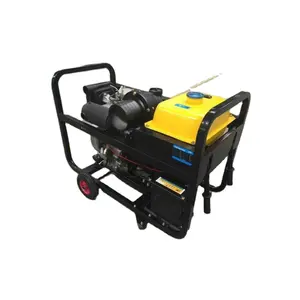 Best Price Agriculture Irrigation High Diesel Fuel Clean Water Diesel Pump for Garden Farming Use