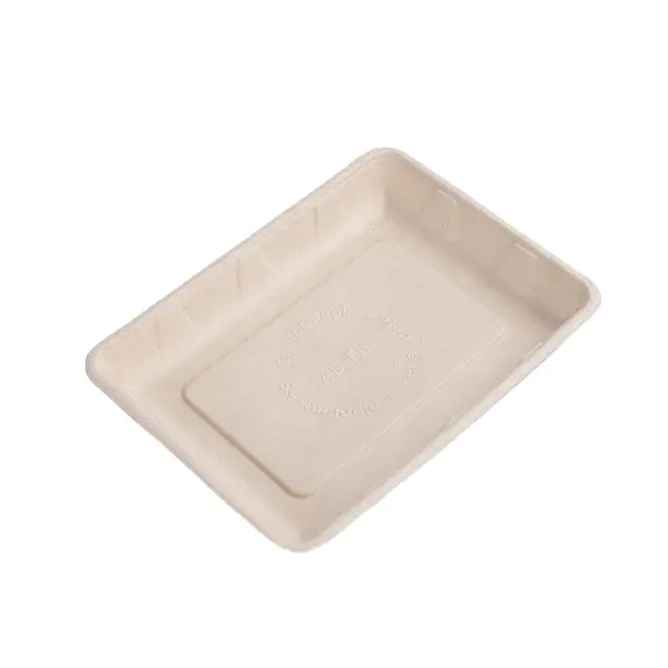 Vaisselle en tpu 4D, plan alimentaire, plateau carré pour aliments à viande, lavable