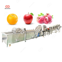 2 Ton/Uur Citroen Sorteren Apple Was-En Waxmachine Automatische Sinaasappel-Mango-Fruitwasmachine