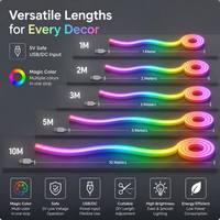 Bande LED flexible néon colorée 5V612 de 8 mm en cuivre avec IC RGB et lumières dynamiques, télécommande, kit LED IP66