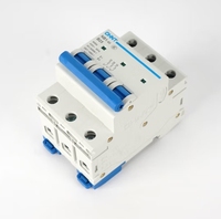 Disjoncteur à chint chaud MCB NB1-63 1A 2A 3A 4A 6A 10A 16A 20A 25A 32A 40A 50A 63A 1P 2P 3P 4P 6kA NB1-63 2P C10 interrupteur d'air