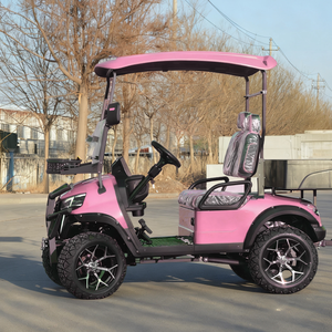2 <strong>Seater</strong> Pink Adjustable Seats <strong>Electric</strong> Club <strong>Car</strong> Golf Carts Equipped with 3.5KW AC Motor for Off-road Hunting - Product Image 2