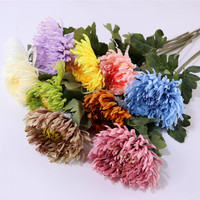 Fleurs artificielles en tissu chrysanthème griffe de dragon Shangchu pour décoration de mariage et d'arrangements floraux de lieux de réception