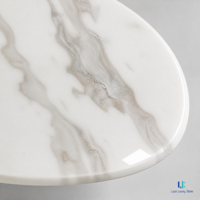 Ensemble de tables basses gigognes Luca Picasso en marbre blanc, forme de galet organique, base noire, mobilier de salon moderne de luxe