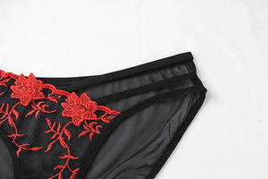 A sinistra ricamato a destra tre strisce di maglia trasparente moda Sexy biancheria intima per le donne - Product Image 4