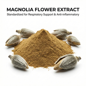 مستخلص برعم زهرة الماغنوليا الطبيعي عالي المحتوى من الماغنولين و1،8-سينول، مزيل احتقان الأنف صالح للأكل ومضاد للالتهابات للصحة العامة - Product Image 1