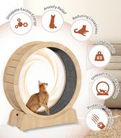 Installation facile Grande roue d'exercice pour chat sur tapis roulant avec podomètre