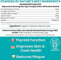 Soins dentaires pour animaux de compagnie, soutien immunitaire, supplément probiotique en poudre, absorption rapide, nettoyage des dents, santé bucco-dentaire, rafraîchisseur d'haleine pour chiens et chats