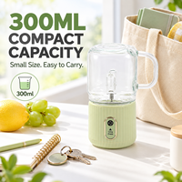 Mini-mixeur portable 300 ml rechargeable par USB, extracteur de jus personnel, mixeur électrique, petit mixeur à smoothies