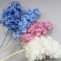 Hortensia Conique Bleu Fleurs Préservées 100% Naturelles Durables 3-5 Ans Décoration Vase Maison Centre de Table Mariage Thanksgiving