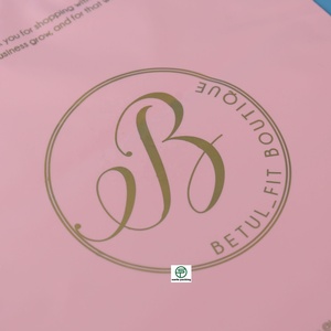 Custom MOQ 1000pcs Biodegradable Frosted PE Ziplock Clothing Underwear Underpants Socks Bag with Gravure Printing - Product Image 4