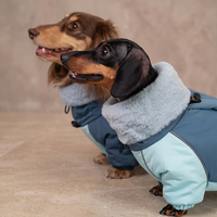 VPETBR Vente en gros OEM/ODM – Veste solide élégante et personnalisée pour chien, vêtements imperméables à quatre pattes pour animaux de compagnie, sur mesure pour Teckel avec capuche