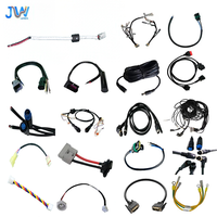Kabel Harness Tembaga Berlapis Timah 2 Pin 18AWG Kustom, Panjang 350mm, Berlapis Nilon IP20, Inti Ferit untuk Kontrol PLC Industri