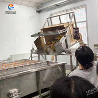 Industriële machine voor het lossen van fruit en groenten, aardappelen, wortelen, ananas, maïs; kratlosser en invoermachine