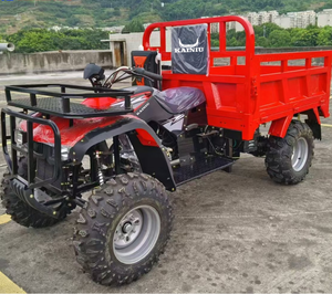 Meilleur vendeur 2025 Nouveau modèle KAINIU A T V 300CC <span class=keywords><strong>Quad</strong></span> utilitaire à refroidissement par eau à forte charge utile pour le transport sur la plage et les travaux de ferme - Product Image 3