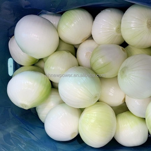 Automation Onion Tail Roots <b>Cutter</b> and Remover Removing Equipment Onion Top Tail Cutting Machine - Product Image 2