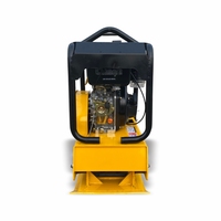 Compacteur à plaques vibrantes à essence pour asphalte, 700x370mm, force centrifuge 30KN, 5.5HP, haute efficacité