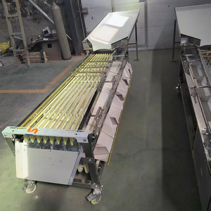 Máquina Clasificadora de Frutas y Verduras Redondas Pequeñas con Cinta Transportadora de Acero Inoxidable para Procesamiento de Alimentos - Product Image 4
