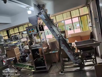 Machine à emballer électrique à grande vitesse personnalisable de granule avec le chargeur de seau