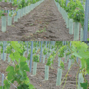 Vine Wrap Protector de plantas de guardia de árbol de plástico personalizado para árboles, protección de plantas de animales hoja corrugada reciclable - Product Image 6