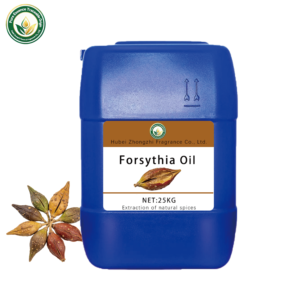 Huile de Forsythia en Gros (Forsythia Suspensa) 100% Pure Distillée à la Vapeur, Fournisseur d'Usine OEM pour l'Aromathérapie et les Soins de la Peau - Product Image 4